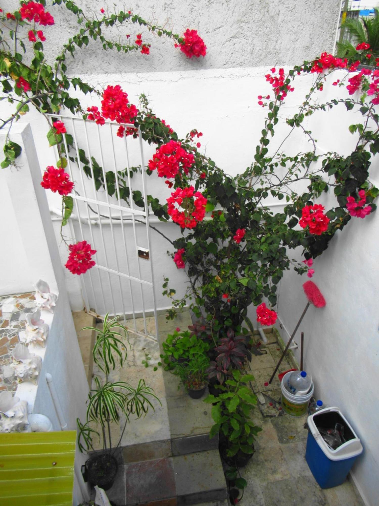 Ferienwohnung Cocos Cancún Exterior foto