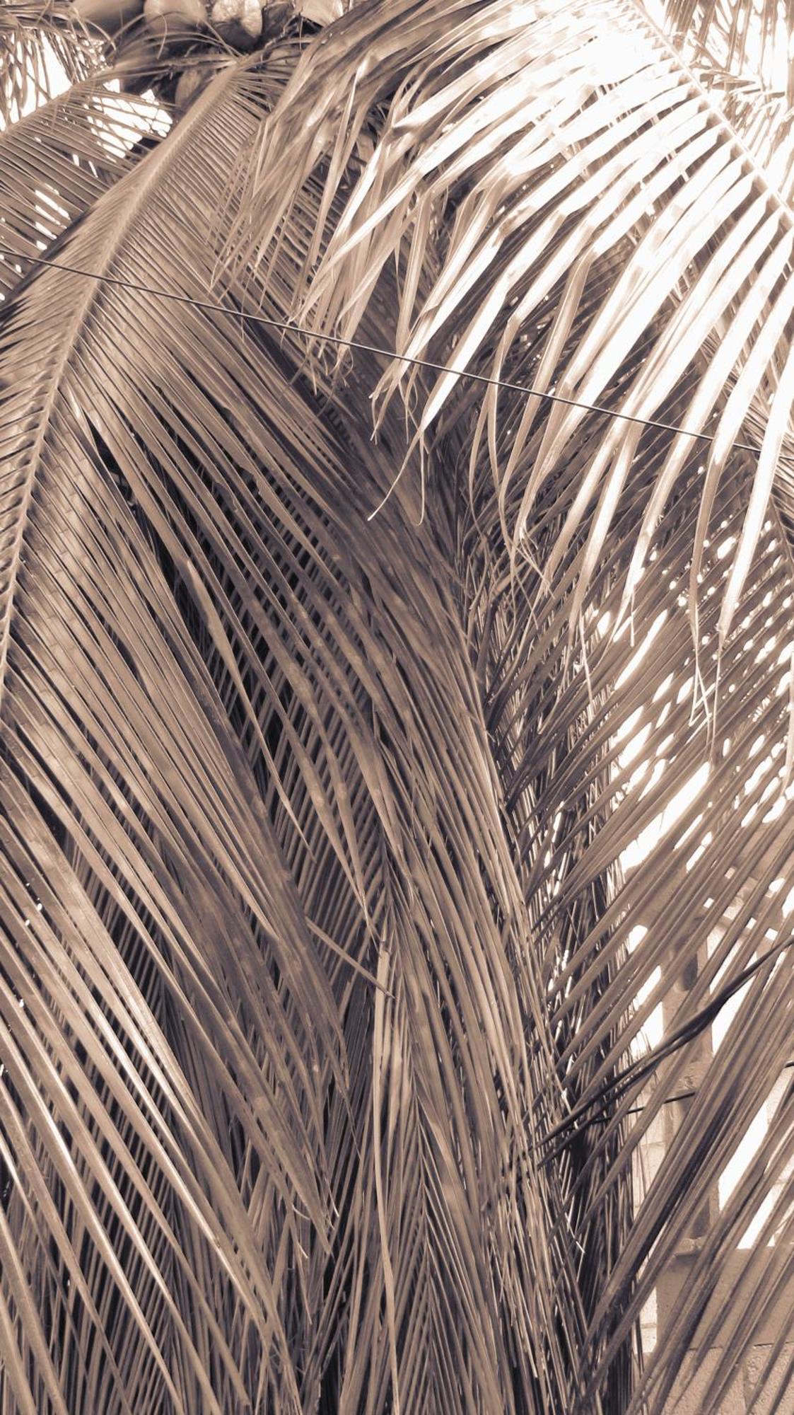 Ferienwohnung Cocos Cancún Exterior foto