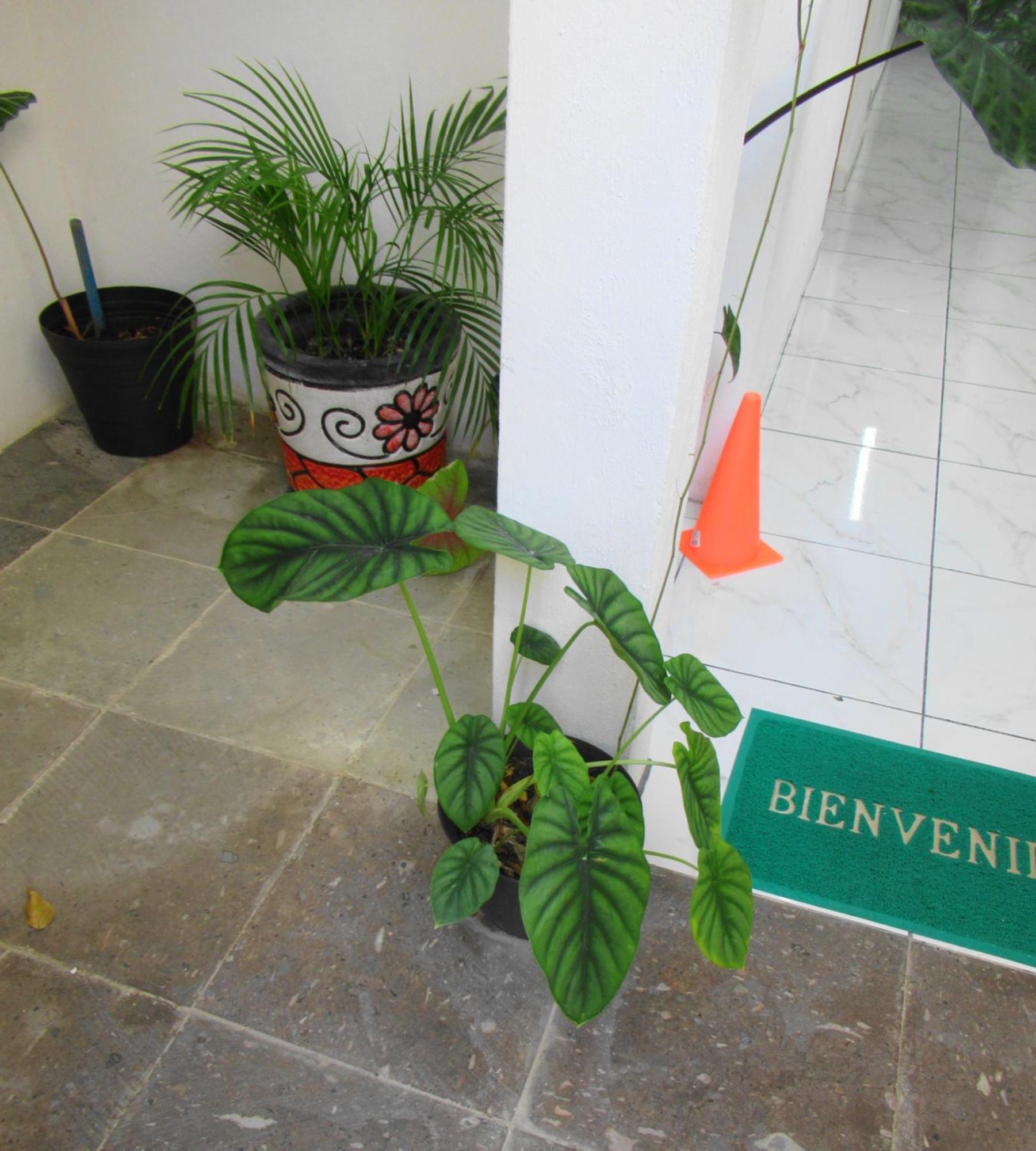 Ferienwohnung Cocos Cancún Exterior foto
